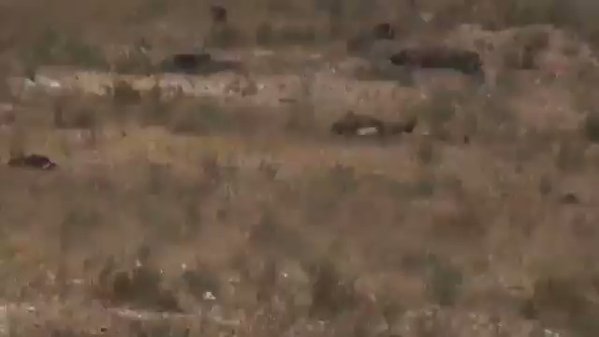 North East Hama: pro-Assad ambushed by ISIS near Sheikh Hilal (North East Salamiyah), leaving many casualties  and  T-62 knocked out  