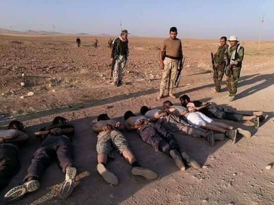Dozens of Da'ish militants have surrendered to Iraq's armed forces in and around Tal 'Afar over the last few days. Many of them foreign.  