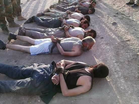 Dozens of Da'ish militants have surrendered to Iraq's armed forces in and around Tal 'Afar over the last few days. Many of them foreign.  