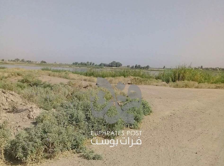 Russian pontoon bridges have been brought today and lauched forward to DeirEzzor to cross Euphrates river in Syria      